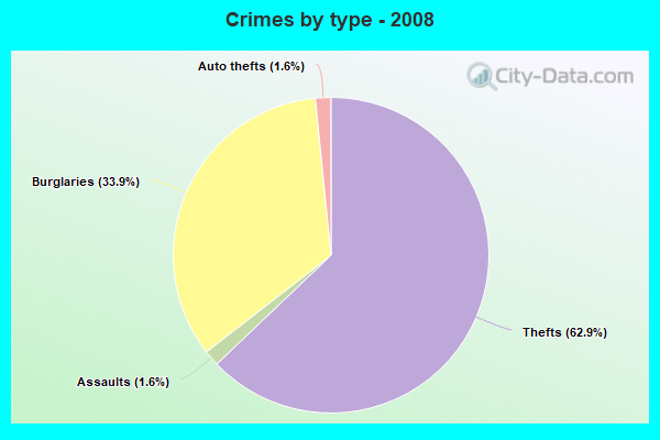 Crimes by type - 2008