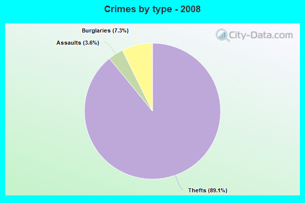 Crimes by type - 2008