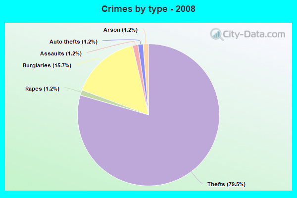 Crimes by type - 2008