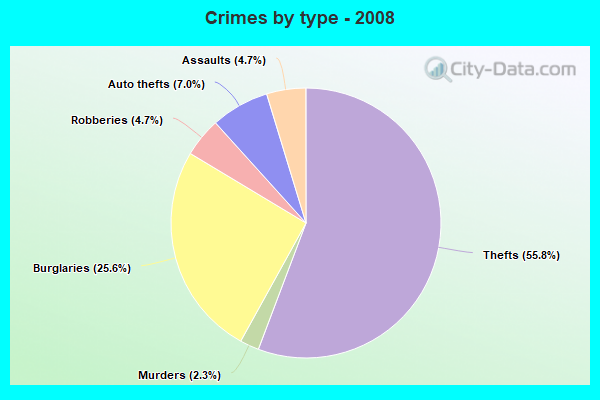 Crimes by type - 2008