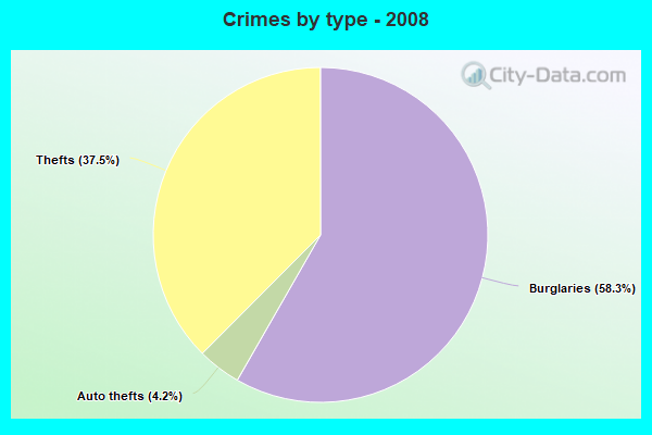 Crimes by type - 2008