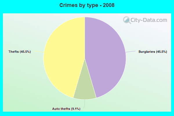 Crimes by type - 2008