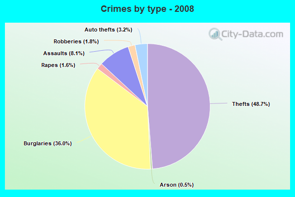 Crimes by type - 2008