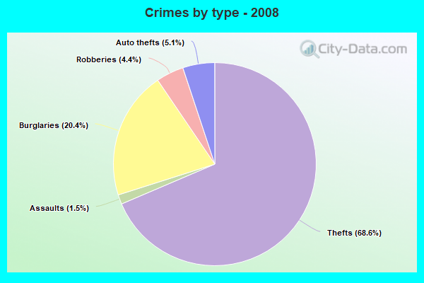 Crimes by type - 2008