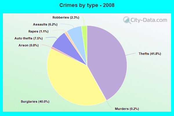 Crimes by type - 2008