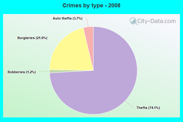 Crimes by type - 2008