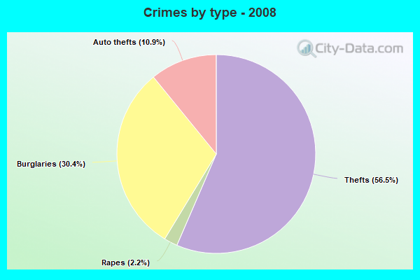 Crimes by type - 2008