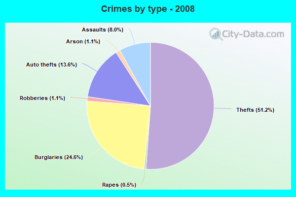 Crimes by type - 2008