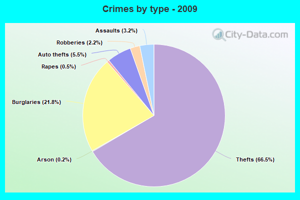 Crimes by type - 2009