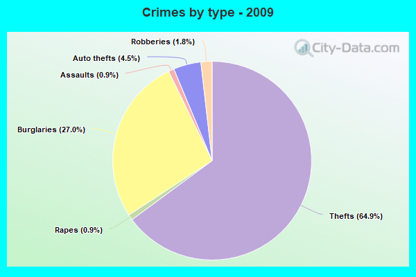 Crimes by type - 2009