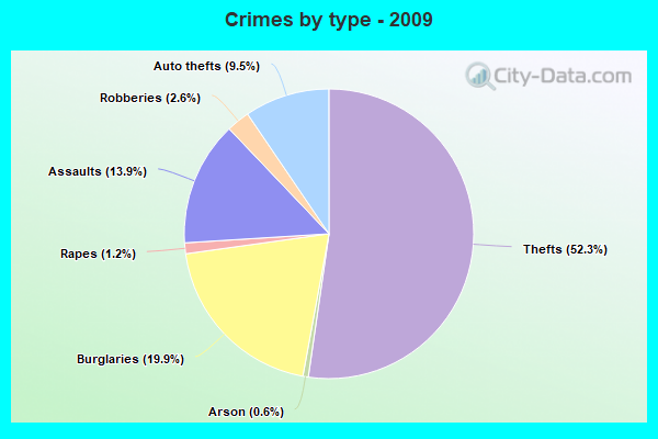 Crimes by type - 2009