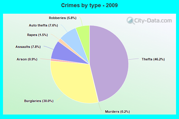 Crimes by type - 2009