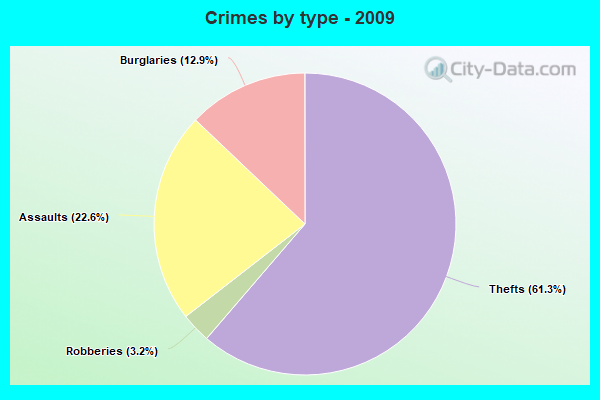 Crimes by type - 2009