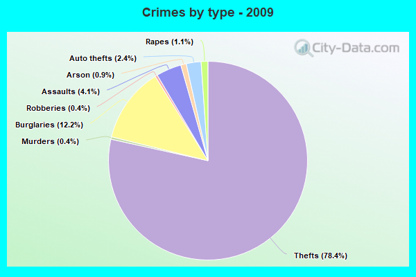 Crimes by type - 2009