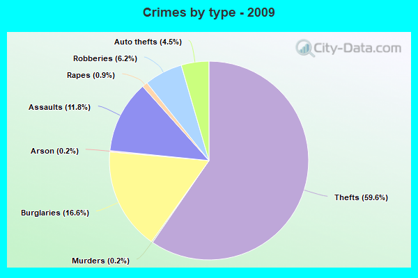 Crimes by type - 2009