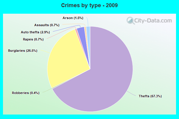 Crimes by type - 2009