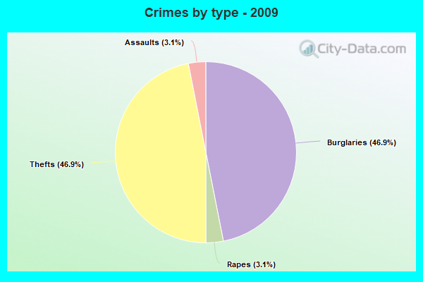 Crimes by type - 2009