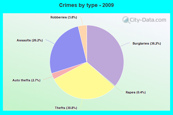 Crimes by type - 2009