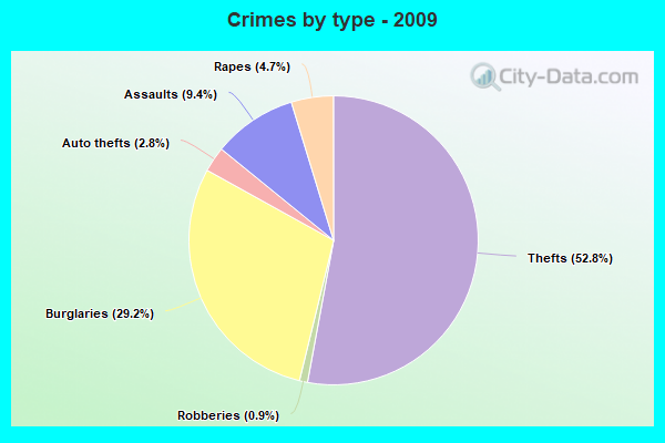 Crimes by type - 2009