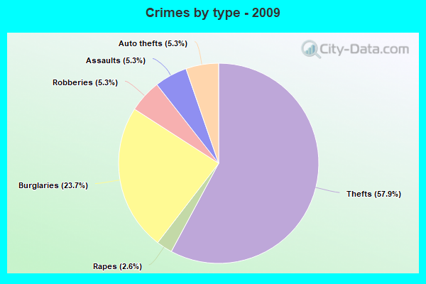 Crimes by type - 2009