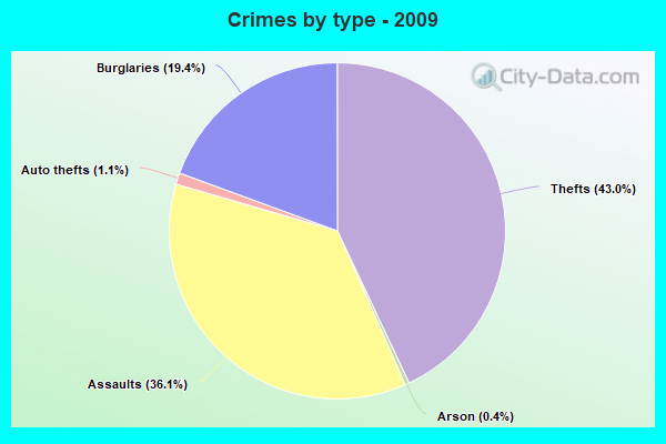 Crimes by type - 2009