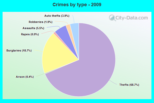 Crimes By Type 2009 Ann Arbor MI 
