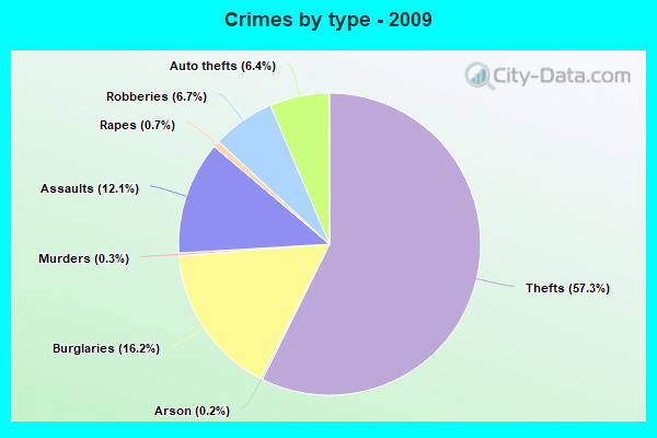 Crimes by type - 2009