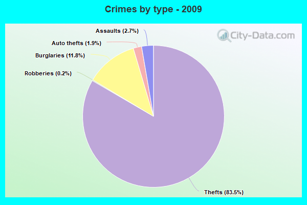 Crimes by type - 2009