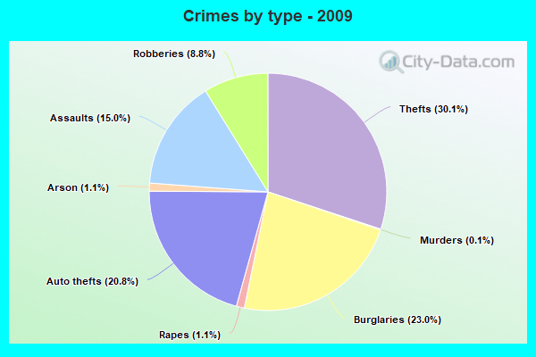 Crimes by type - 2009