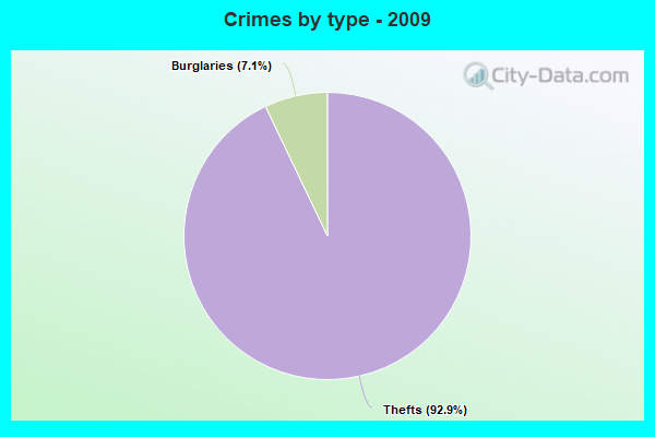 Crimes by type - 2009