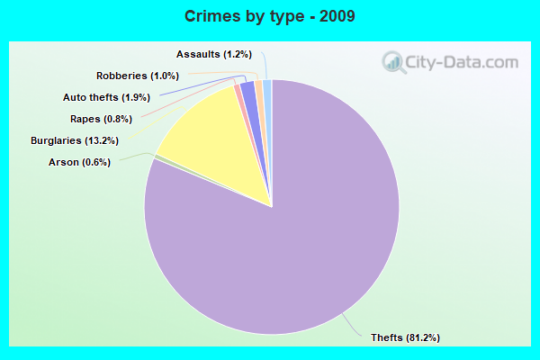 Crimes by type - 2009