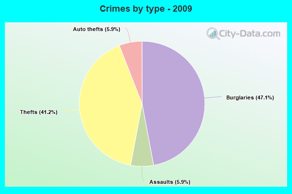 Crimes by type - 2009