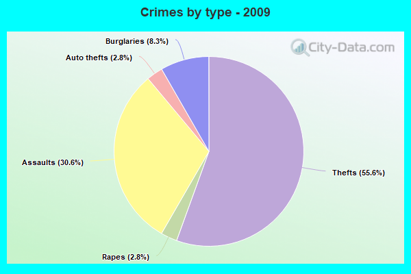 Crimes by type - 2009