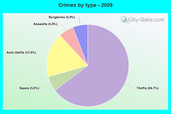 Crimes by type - 2009