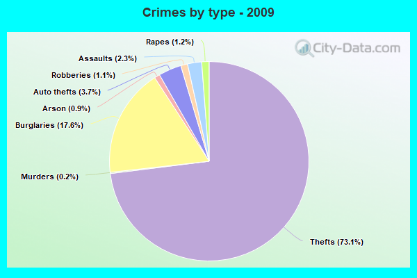 Crimes by type - 2009