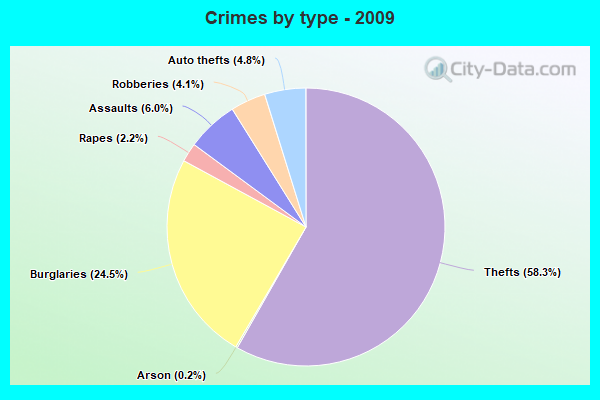 Crimes by type - 2009