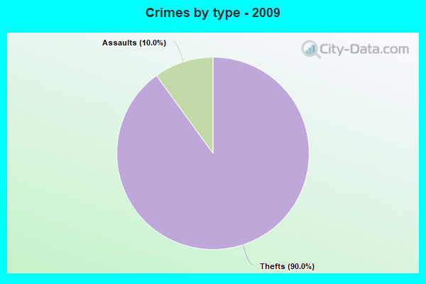 Crimes by type - 2009