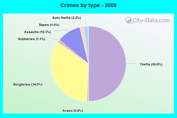 Crimes by type - 2009