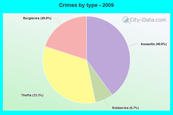 Crimes by type - 2009