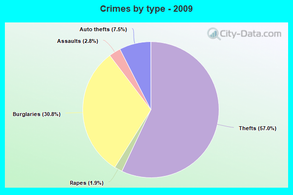 Crimes by type - 2009