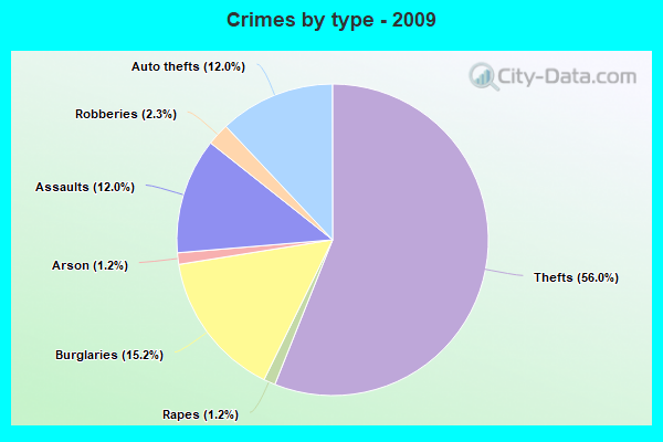 Crimes by type - 2009