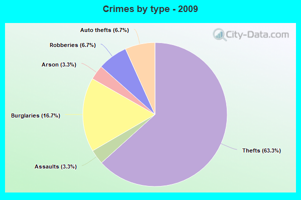 Crimes by type - 2009