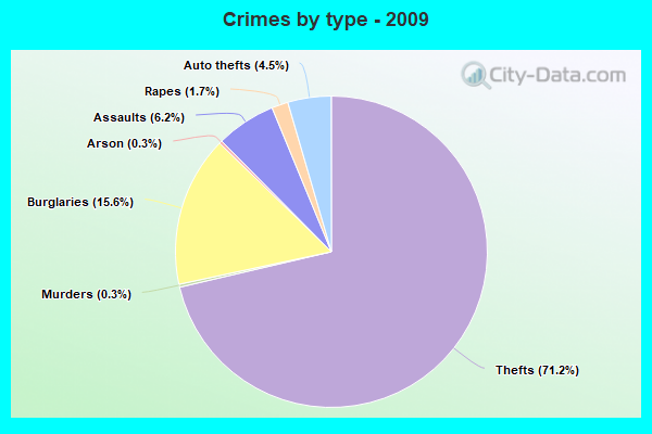 Crimes by type - 2009