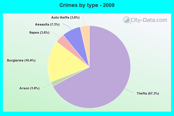 Crimes by type - 2009