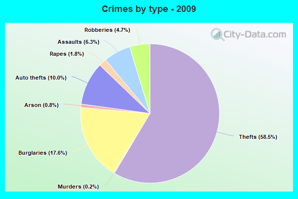 Crimes by type - 2009