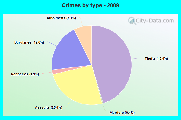 Crimes by type - 2009