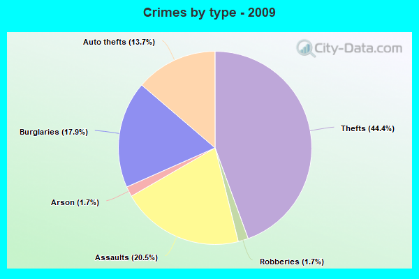 Crimes by type - 2009