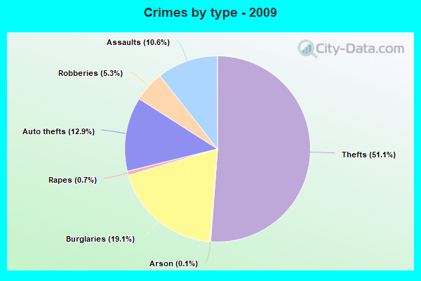 Crimes by type - 2009