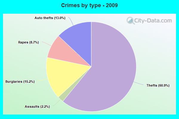 Crimes by type - 2009