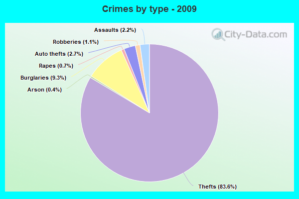 Crimes by type - 2009